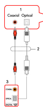 Que signifie la sortie audio numérique S/PDIF out (sortie SPDIF) ? 