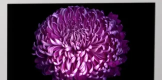 Gamme de téléviseurs LG 2017