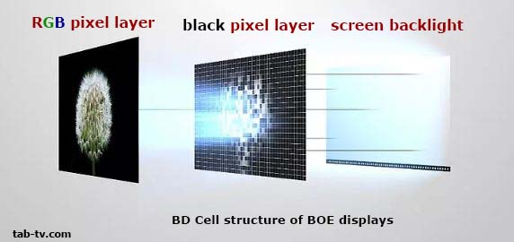 Structure de présentation des BD Cell