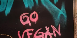 Les meilleurs nuggets de poulet à base de plantes que vous devriez essayer