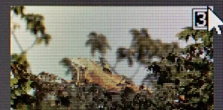 Quelle est la différence entre JPG et JPEG, expliquée