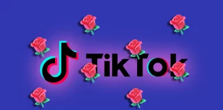 Combien vaut un cadeau rose sur TikTok