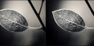 Quel est le réglage de netteté sur un téléviseur