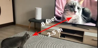 Distance de visionnage d’un téléviseur de 65 pouces